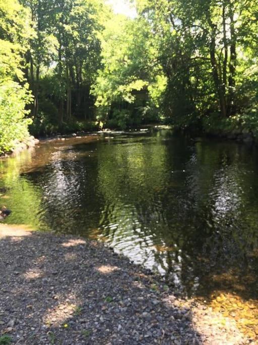 Stunning 3 Bed Riverside Cabin In Snowdonia Caeathro Kültér fotó