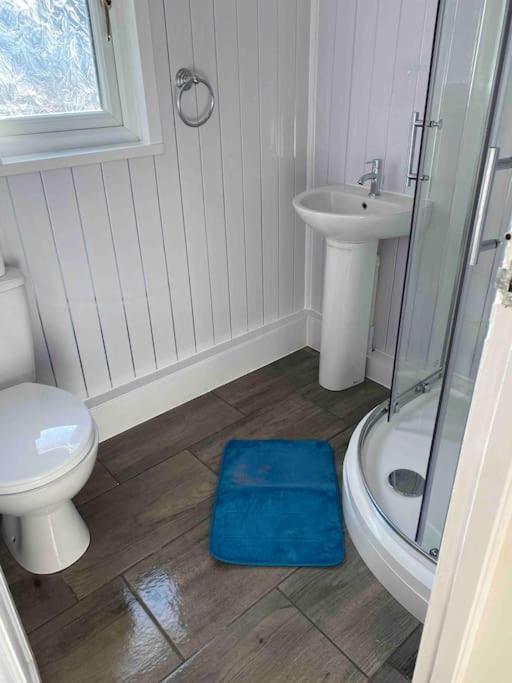 Stunning 3 Bed Riverside Cabin In Snowdonia Caeathro Kültér fotó