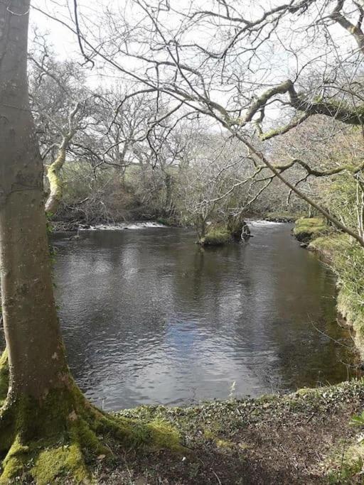 Stunning 3 Bed Riverside Cabin In Snowdonia Caeathro Kültér fotó