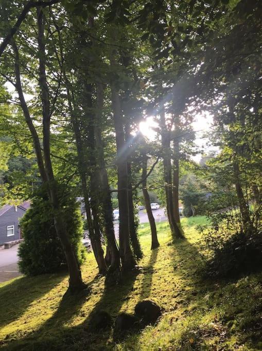 Stunning 3 Bed Riverside Cabin In Snowdonia Caeathro Kültér fotó